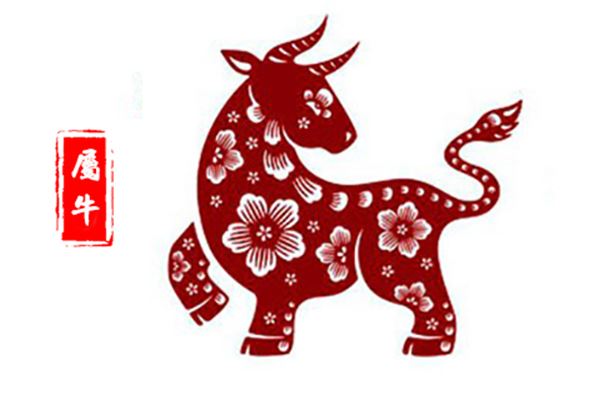 属鼠人今日运势